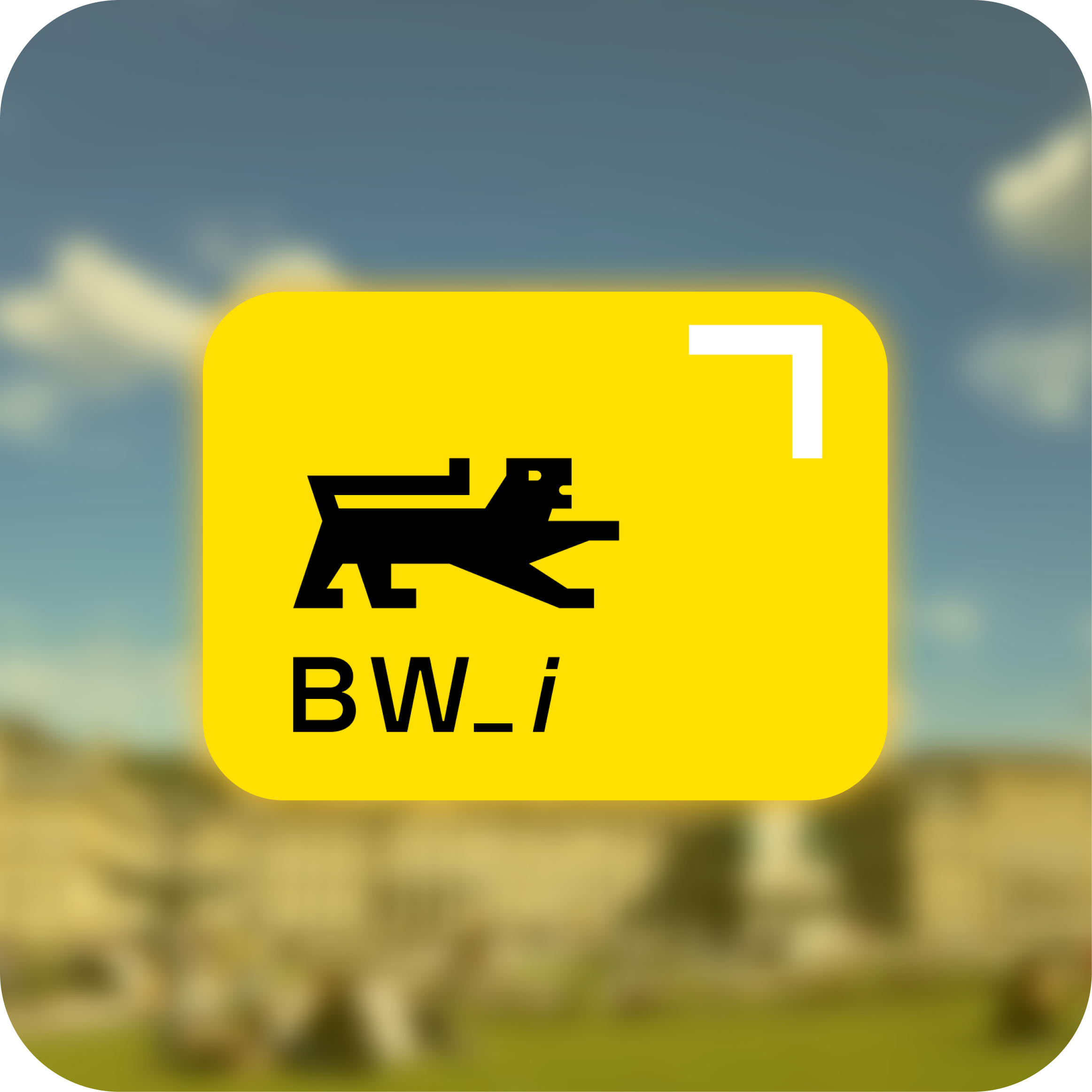 BW_i